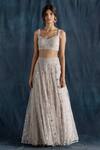 Shop_Lavanya Ahuja_Grey Net, Georgette, Satin V Neck Embroidered Bridal Lehenga Set _at_Aza_Fashions