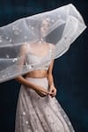Lavanya Ahuja_Grey Net, Georgette, Satin V Neck Embroidered Bridal Lehenga Set _Online_at_Aza_Fashions