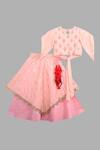 Buy Little Brats Peach Kota Doria, Silk Tassels, Embroidery Printed Lehenga Set at Aza Fashions Buy_Little Brats_Peach Kota Doria, Silk Tassels, Embroidery Printed Lehenga Set _at_Aza_Fashions