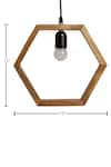 Logam_Brown Aluminium Hexagonal Pendant Light _Online_at_Aza_Fashions