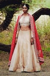 Rajiramniq_Gold Tissue Chanderi Round Blouse And Lehenga Set _Online_at_Aza_Fashions