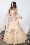 Shop Archana Kochhar Gold Net Sequins, Feather Illusion Neck Embellished Lehenga Set at Aza Fashions Shop_Archana Kochhar_Gold Net Sequins, Feather Illusion Neck Embellished Lehenga Set _at_Aza_Fashions
