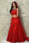 Archana Kochhar_Red Net, French Lace Swarovski One Shoulder Embroidered Lehenga Set _Online_at_Aza_Fashions