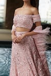 Buy_Nadine Dhody_Pink Tulle Embroidery Sequin Straight Megan Floral Lehenga Set _Online_at_Aza_Fashions