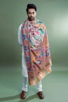 Taroob_Multi Color Kalamkari Work Pashmina Dushala _Online_at_Aza_Fashions