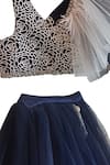Shop_PA:Paa_Blue Silk, Tulle Embroidery Top And Lehenga Set_at_Aza_Fashions