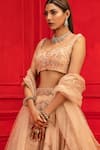 Buy_Mahima Mahajan_Beige Net, Crepe, Shantoon Sweetheart Neck Embroidered Bridal Lehenga Set_Online_at_Aza_Fashions