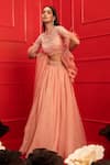 Mahima Mahajan_Pink Organza, Net, Crepe, Shantoon High Neck Embroidered Blouse And Lehenga Set _Online_at_Aza_Fashions