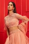Buy_Mahima Mahajan_Pink Organza, Net, Crepe, Shantoon High Neck Embroidered Blouse And Lehenga Set _Online_at_Aza_Fashions