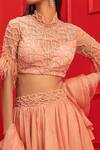 Mahima Mahajan_Pink Organza, Net, Crepe, Shantoon High Neck Embroidered Blouse And Lehenga Set _at_Aza_Fashions