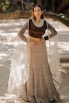 Buy_Nikita Vishakha_Brown Skirt Mesh Top Stretch Gajji Dupatta Tulle Ruffle Hem Set _at_Aza_Fashions