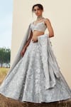 Buy_Mishru_Grey Lehenga-organza Embroidered Floral V Isabella Bridal Lehenga Set  _at_Aza_Fashions