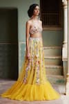 Rahul Mishra_Yellow Tulle Skirt Lining Viscose Sweetheart Neck Bandeau Crop Top With _Online_at_Aza_Fashions