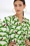 Nikasha_Off White Cotton Poplin Leaf Print And Running Stitch, Parakeet Band Shirt Dress _at_Aza_Fashions