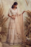 Niamh By Kriti_Gold Organza And Net Embroidery Pearls Sweetheart Neck Bridal Lehenga Set _Online_at_Aza_Fashions