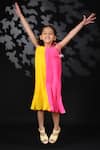 Nikasha_Pink Georgette Tassels Pleated Dress _Online_at_Aza_Fashions