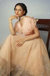 Neha Poddar_Pink Organza Embroidery Round Ruffle Crop Top And Skirt Set _Online_at_Aza_Fashions