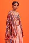 DiyaRajvvir_Pink Cotton Silk And Bottom Georgette, Lining Shantoon, Printed & Sharara Set _Online_at_Aza_Fashions