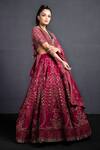 Neha & Tarun_Purple Raw Silk V Neck Hand Embroidered Bridal Lehenga Set _Online_at_Aza_Fashions