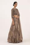 Nakul Sen_Brown Chiffon Sequin Round Embroidered Lehenga Set_Online_at_Aza_Fashions