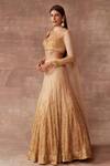 Neeta Lulla_Gold Tulle Sprinkle Lehenga Set_Online_at_Aza_Fashions
