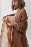 Buy_Nirjara_Brown Organza Silk Embroidered Zari Work Mahal Dupatta  _Online_at_Aza_Fashions