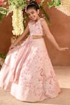 Littleens_Pink Velvet, Silk Embroidery, Beads Ziva Lehenga And Blouse Set _Online_at_Aza_Fashions