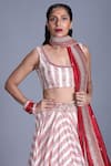 Buy_PUNIT BALANA_Beige Silk Satin Round Chanderi Printed Lehenga Set_Online_at_Aza_Fashions