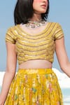 Paulmi and Harsh_Yellow Blouse Printed Lehenga Set_Online_at_Aza_Fashions