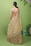Shop_Prevasu_Gold Net/tulle Mirror, Sequins, Zardozi Floral Embroidered Bridal Lehenga Set _at_Aza_Fashions