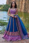 Shop_Pooja Rajgarhia Gupta_Blue Georgette And Organza Sweetheart Neck Printed Lehenga Set _Online_at_Aza_Fashions
