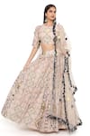 Buy_Payal Singhal_Pink Silkmul And Net Diamond Print Round Lehenga Set _at_Aza_Fashions