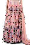 Buy_Payal Singhal_Pink Georgette Thread Round Idris Embroidered Lehenga Set _Online_at_Aza_Fashions