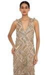 Shop_Payal Singhal_Beige Net Embroidered Geometric V Neck Hamsa Gown _at_Aza_Fashions