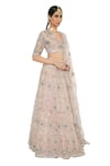 Payal Singhal_Pink Organza V Neck Imaar Embroidered Bridal Lehenga Set _Online_at_Aza_Fashions