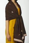 Shop_Priyanka Singh_Brown Pashmina Shawl _Online_at_Aza_Fashions