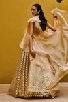 Shop_Pankaj & Nidhi_Beige Blouse Tulle Lehenga Tulle Jacket Silk Embellished Set  _at_Aza_Fashions