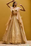 Pankaj & Nidhi_Beige Blouse Tulle Lehenga Tulle Jacket Silk Embellished Set  _Online_at_Aza_Fashions