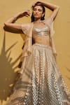 Shop_Pankaj & Nidhi_Beige Blouse Tulle Lehenga Tulle Jacket Silk Embellished Set  _Online_at_Aza_Fashions