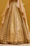 Pankaj & Nidhi_Beige Blouse Tulle Lehenga Tulle Jacket Silk Embellished Set  _at_Aza_Fashions