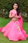 Buy_Panchhi by Kanupriya Tibrewala_Pink Silk Organza Lehenga Set _at_Aza_Fashions