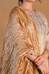 Pants and Pajamas_Beige Tissue Zari Work Ombre Silver Dupatta _at_Aza_Fashions