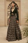 Buy_Ridhima Bhasin_Black Organza Hand Embroidered V Neck Lehenga And Choli Set  _at_Aza_Fashions