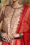 Neeta Bhargava_Gold Organza Hand Painted Dupatta  _Online_at_Aza_Fashions