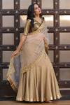 Shop_Rina Dhaka_Gold Pre-draped Saree With Blouse_at_Aza_Fashions