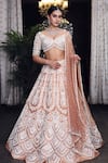 Buy_Riantas_Brown Pure Silk Lining Chroma Embroidery Pearl V Bridal Lehenga Set  _at_Aza_Fashions