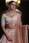 Riantas_Brown Pure Silk Lining Chroma Embroidery Pearl V Bridal Lehenga Set  _at_Aza_Fashions