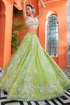 Buy_Riantas_Green Taffeta Embroidery Floral Plunge V Lehenga Set  _at_Aza_Fashions