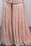 Shop_Ritika Mirchandani_Peach Net, Crepe Silk Round Embroidered Kurta And Sharara Set _Online_at_Aza_Fashions