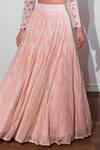 Shop_Ritika Mirchandani_Pink Crepe Silk Embroidered Blouse And Lehenga Set_Online_at_Aza_Fashions